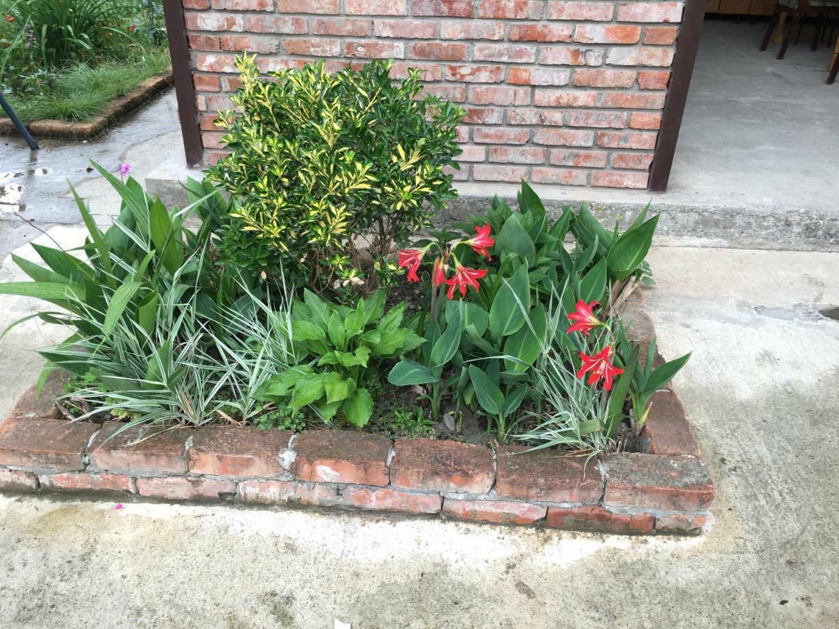 Guest House Nadia 苏呼米 外观 照片